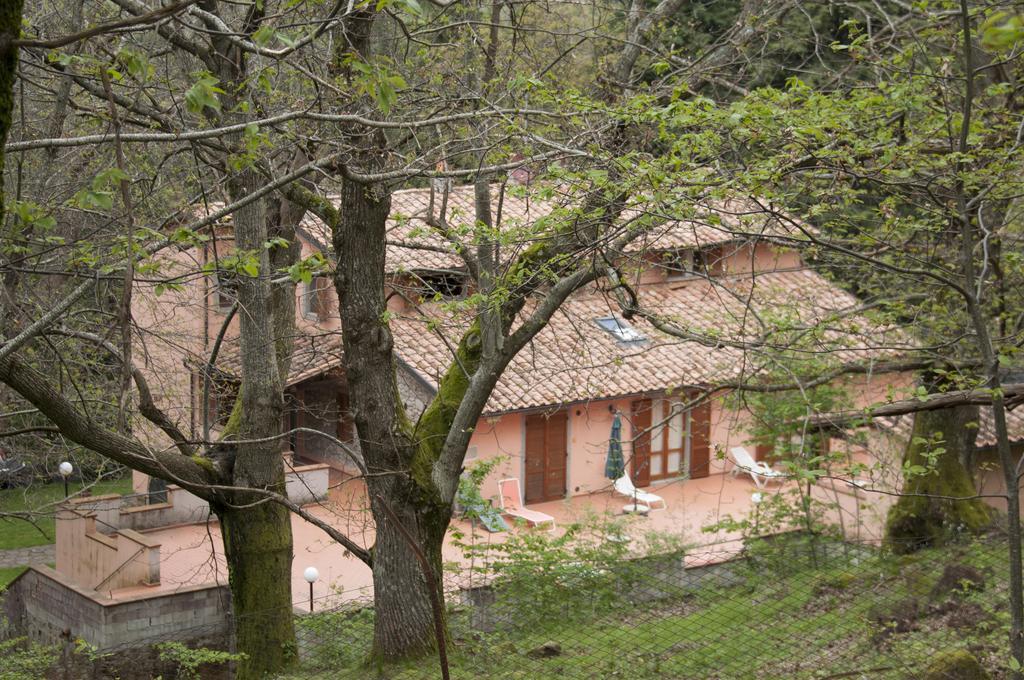 C.A.V. Capenti Arcidosso Quarto foto